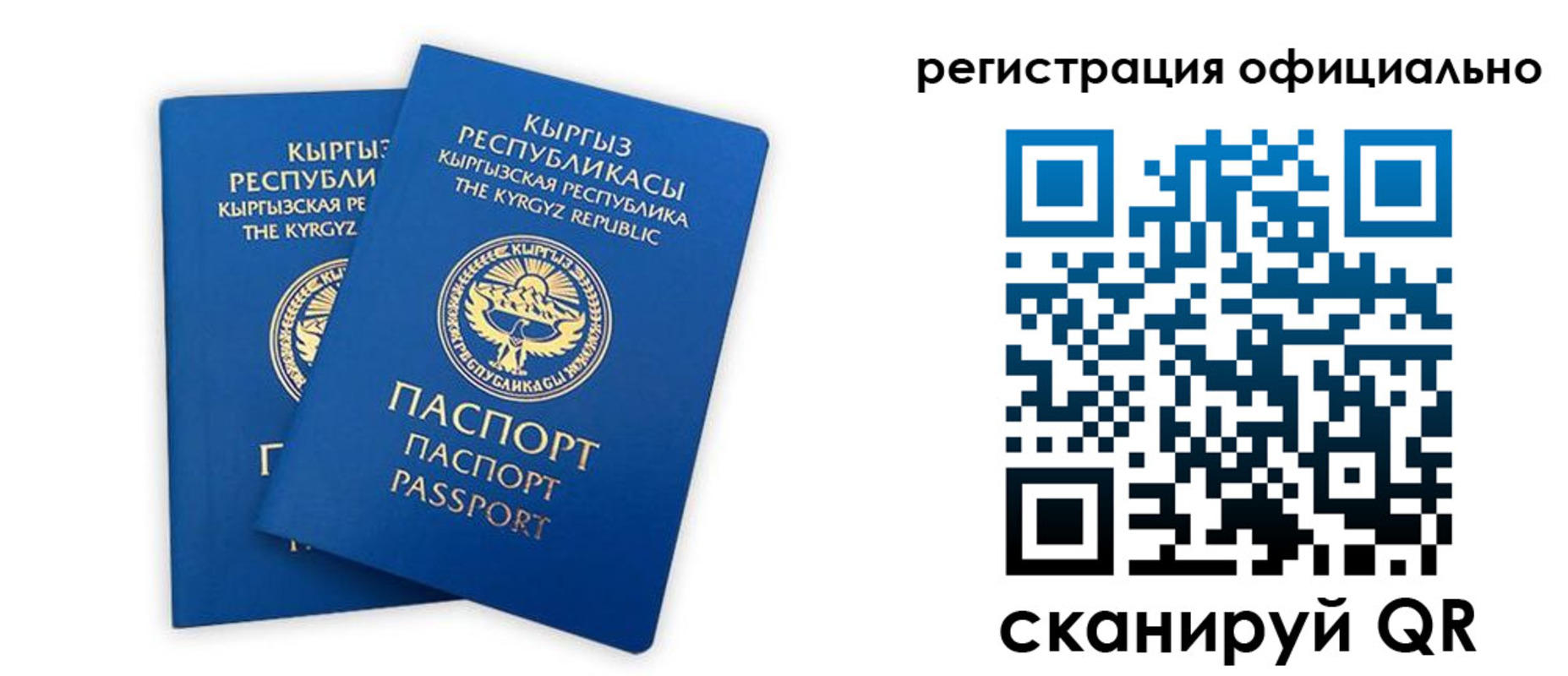 прописка поиск в Брянской области